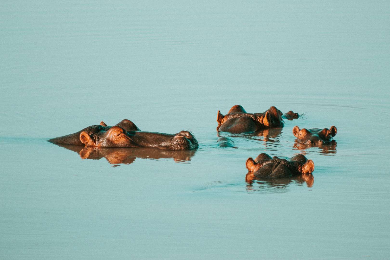 Kenya safari destination