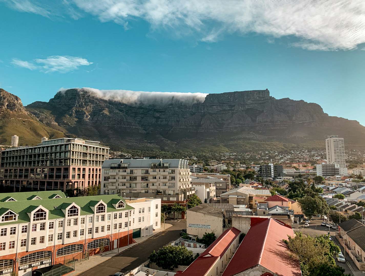 South Africa safari destination