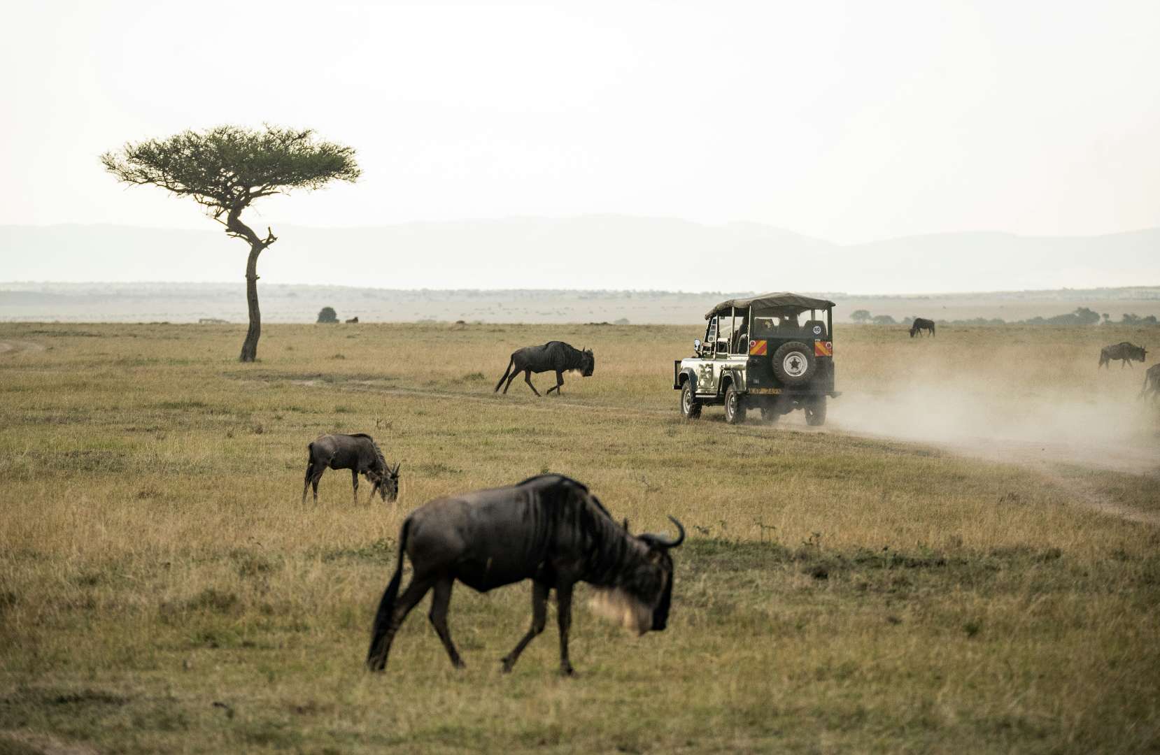 Tanzania safari destination