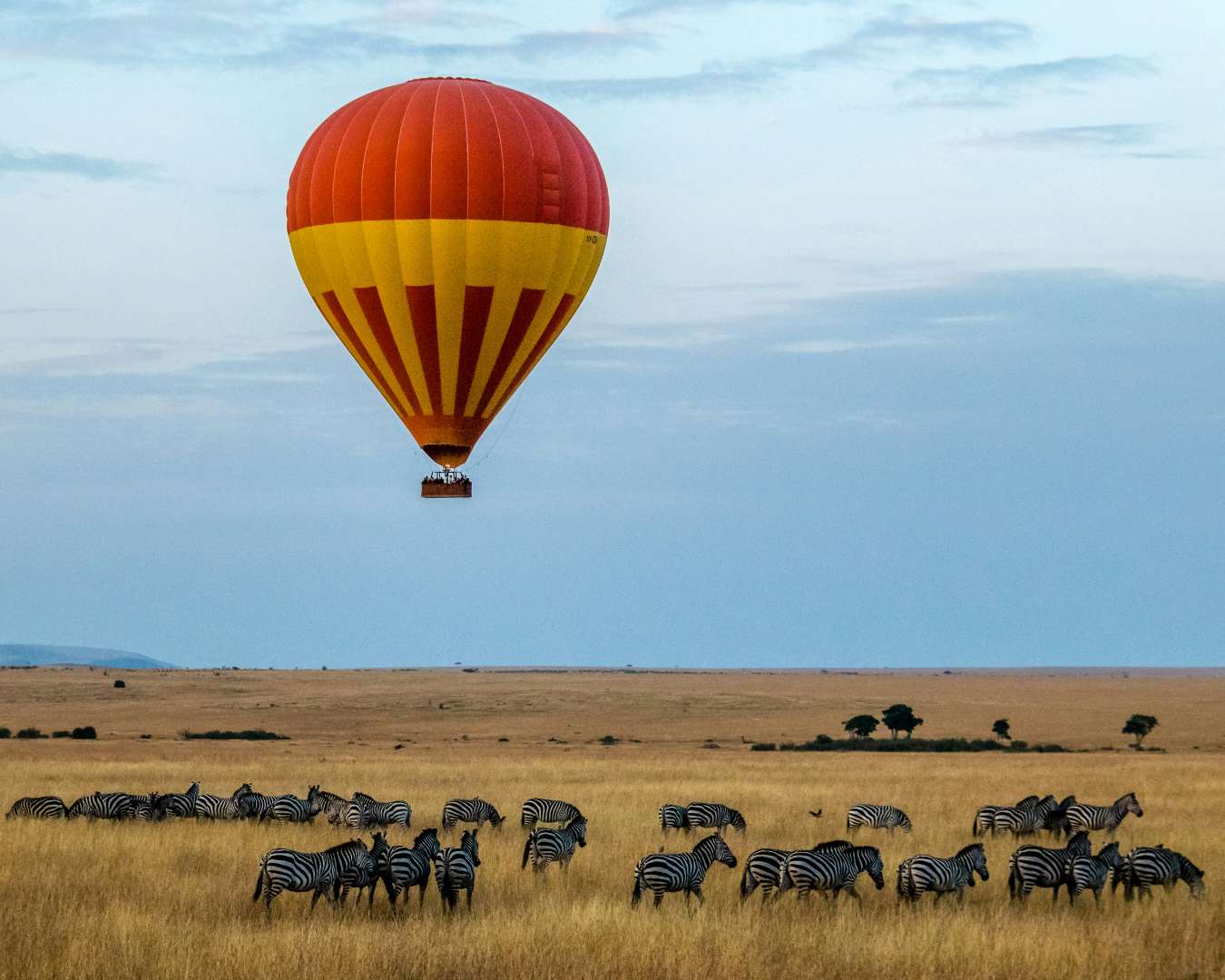 African wildlife in their natural habitat