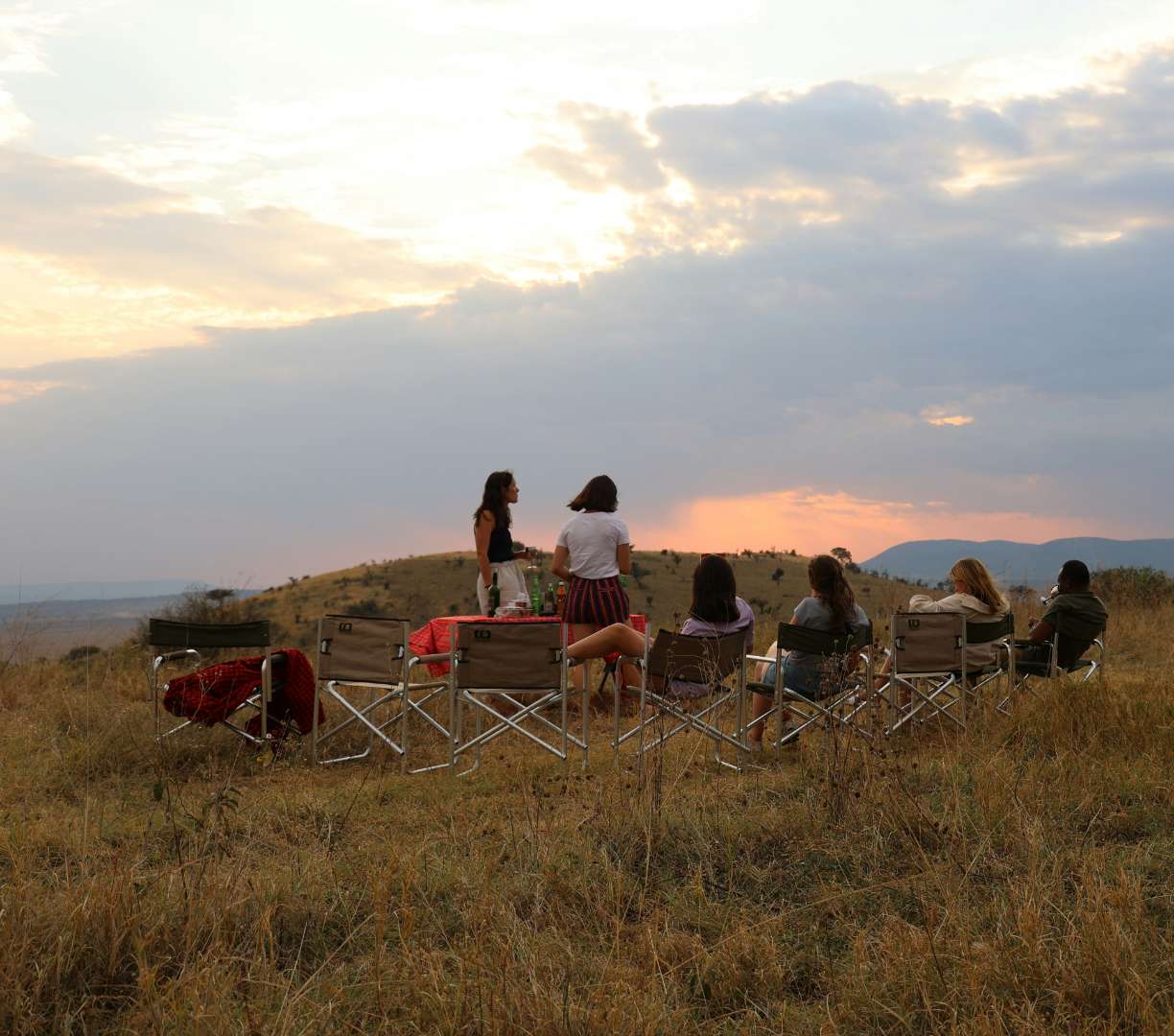 Wildlife safari experience
