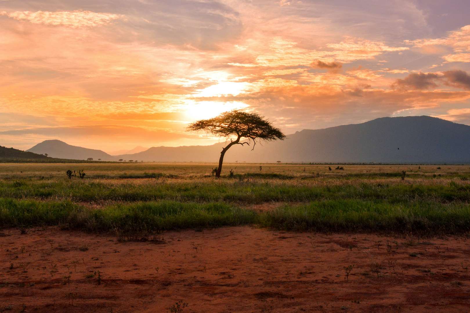 Multi-Country Expedition