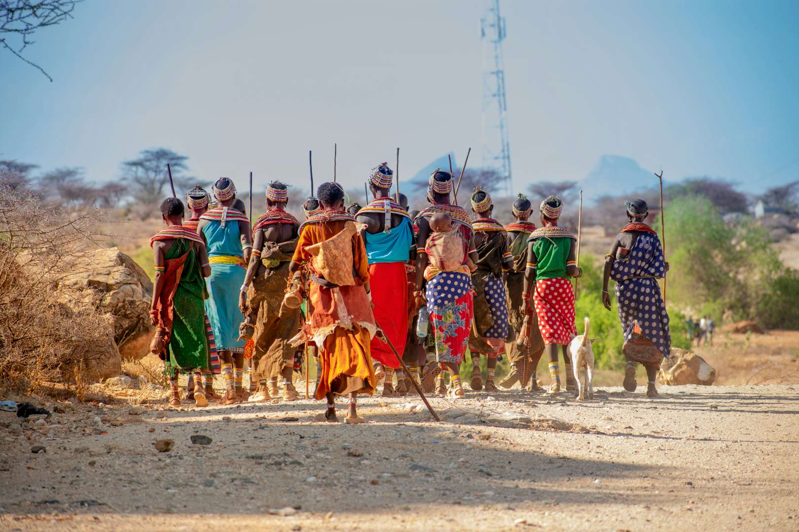 Cultural Safaris