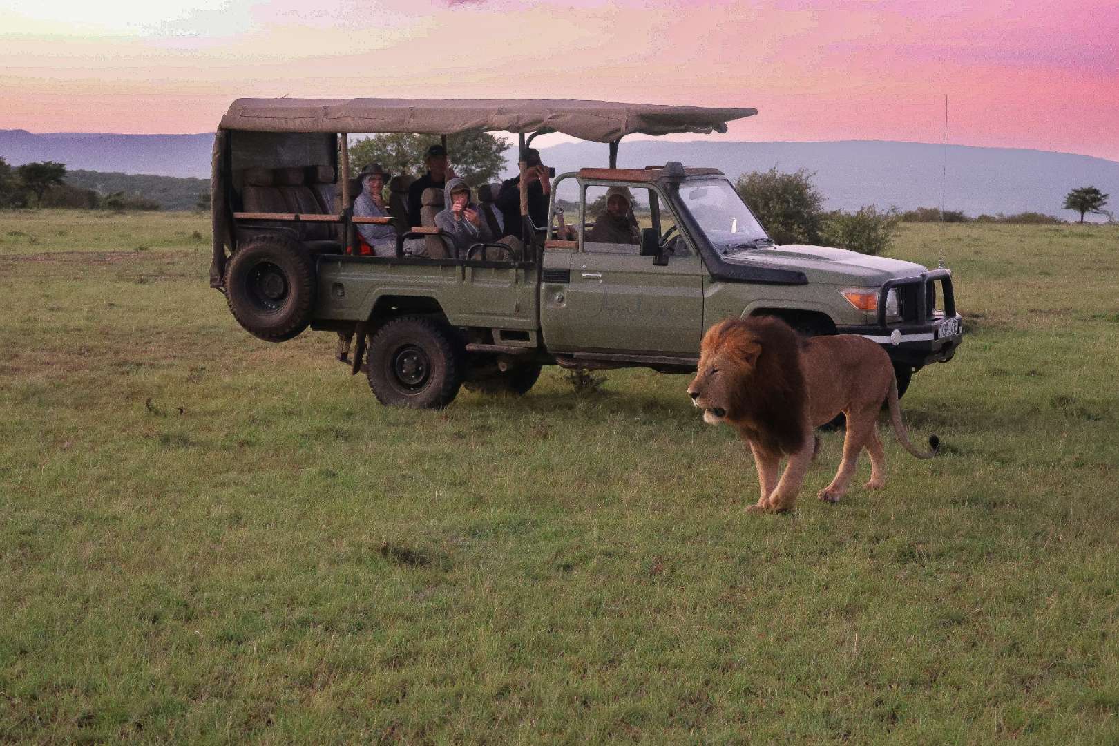 Photography Safaris