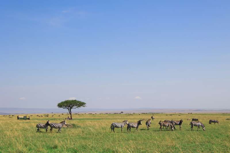 Why choose Timobo Safaris